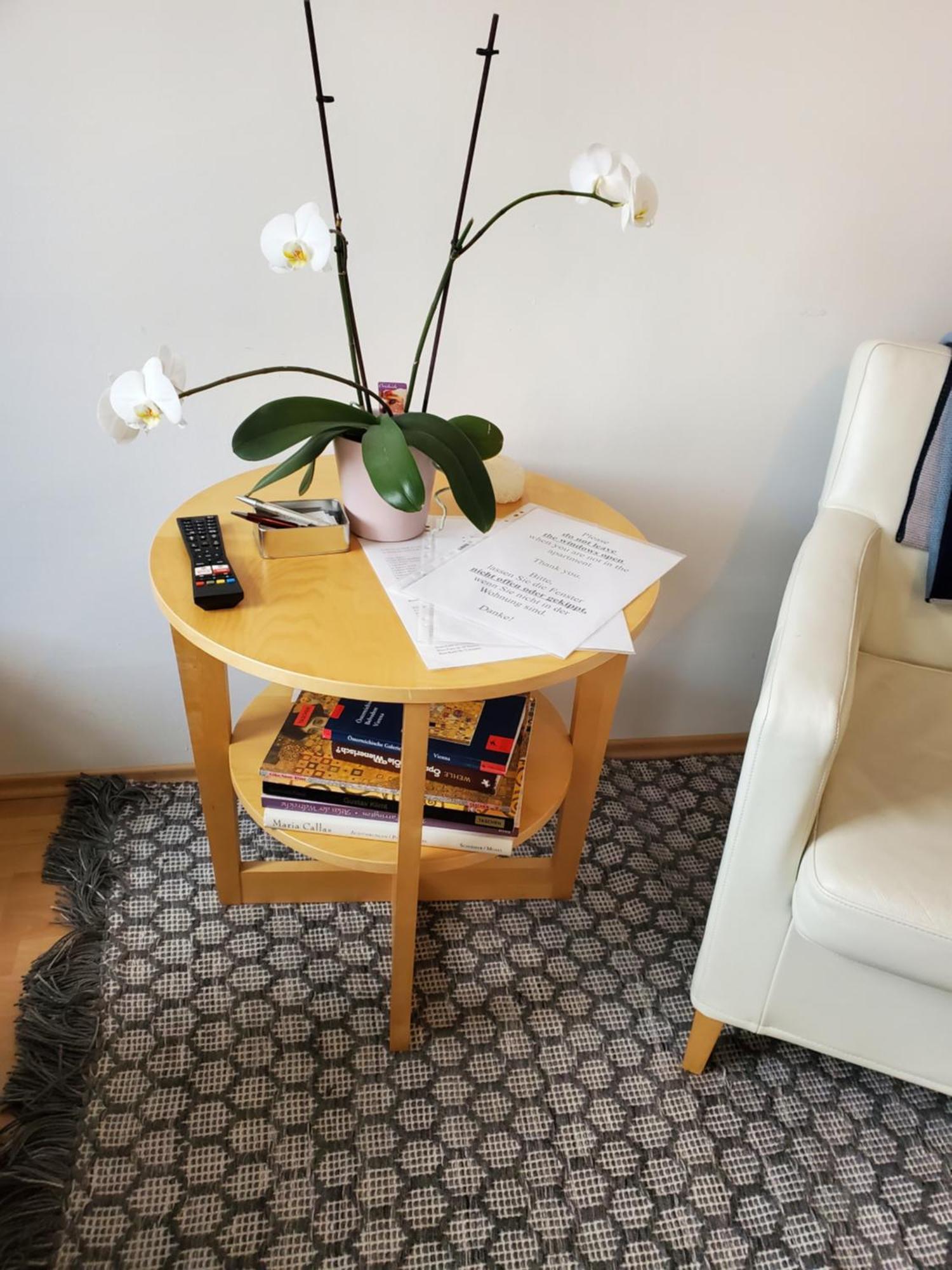 Schubert Park Apartment Near Volksopera ウィーン エクステリア 写真